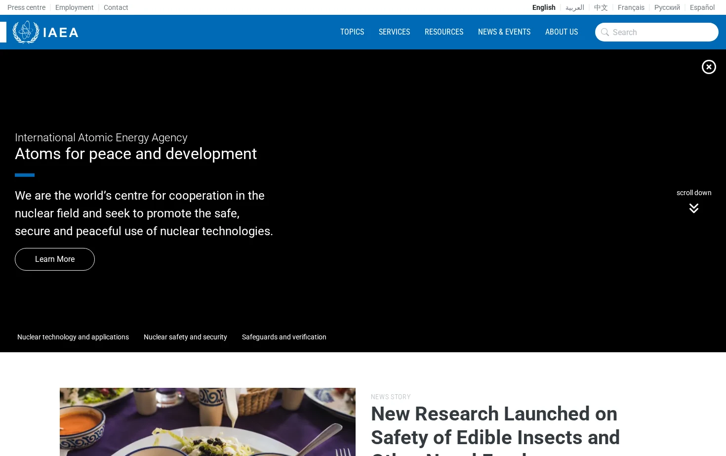 International Atomic Energy Agency (IAEA) 页面快照